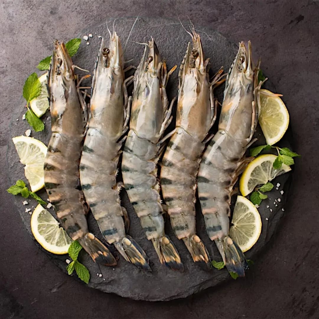 Jumbo Tiger Prawns