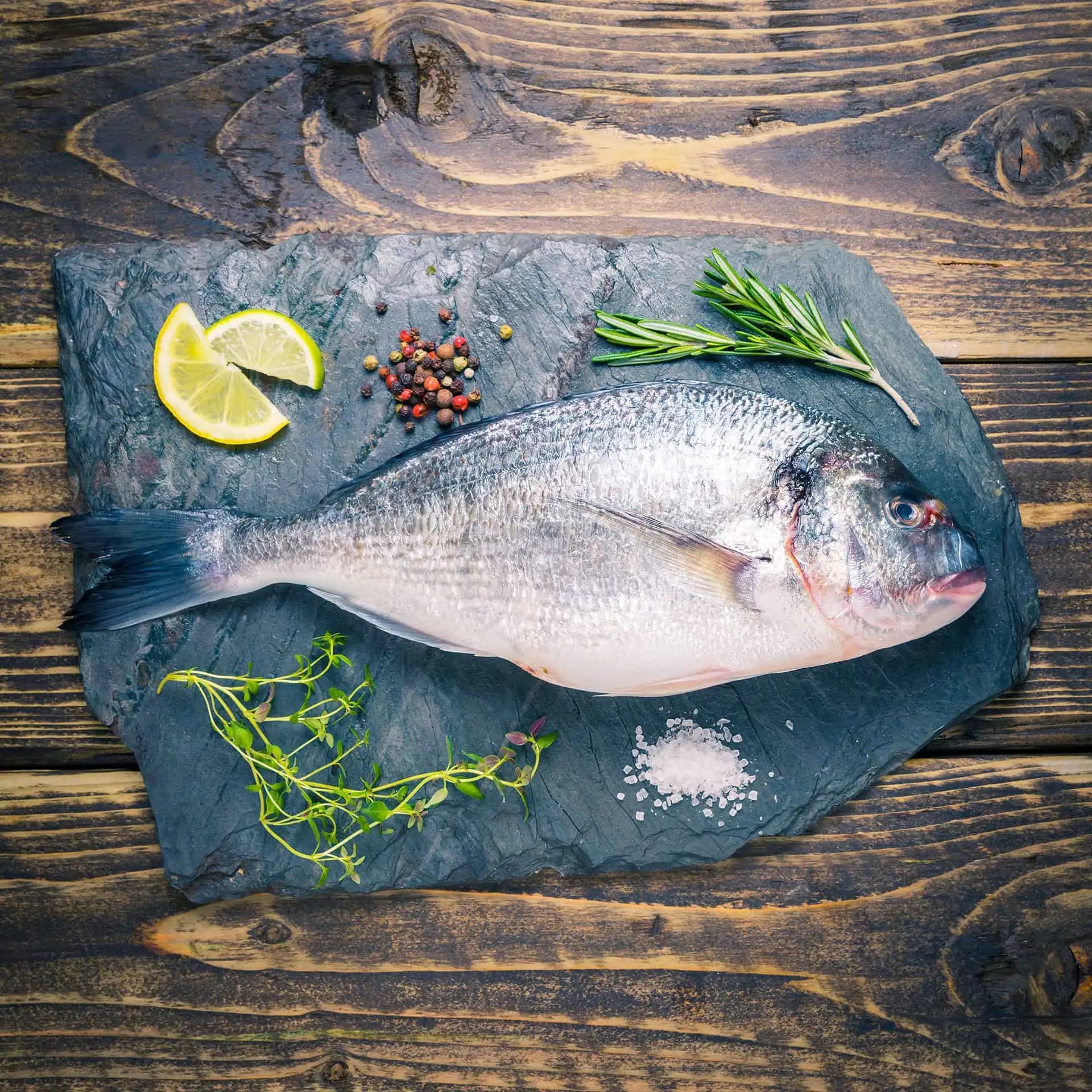 Fresh Sea Bream